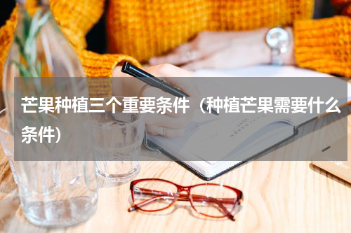 芒果种植三个重要条件（种植芒果需要什么条件）