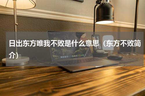 日出东方唯我不败是什么意思（东方不败简介）