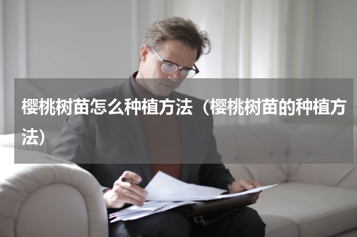 樱桃树苗怎么种植方法（樱桃树苗的种植方法）