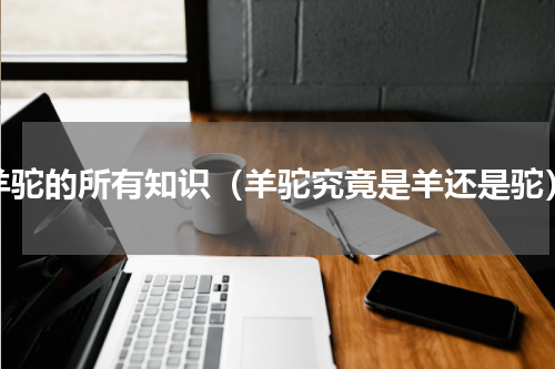 羊驼的所有知识（羊驼究竟是羊还是驼）
