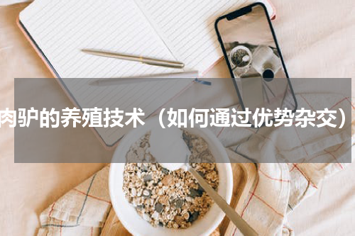 肉驴的养殖技术（如何通过优势杂交）