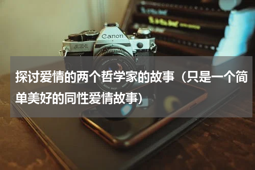 探讨爱情的两个哲学家的故事（只是一个简单美好的同性爱情故事）