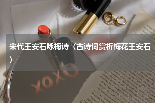 宋代王安石咏梅诗（古诗词赏析梅花王安石）