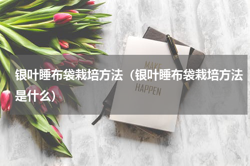 银叶睡布袋栽培方法（银叶睡布袋栽培方法是什么）