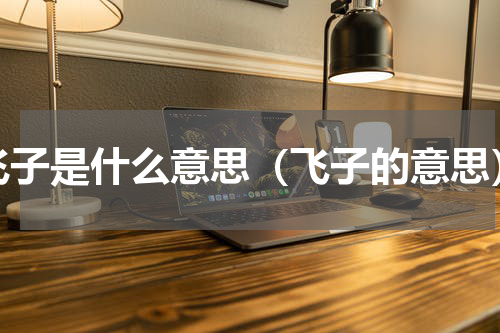 飞子是什么意思（飞子的意思）
