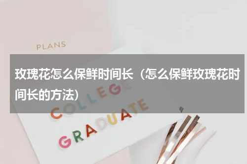 玫瑰花怎么保鲜时间长（怎么保鲜玫瑰花时间长的方法）