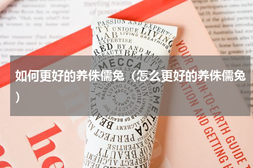 如何更好的养侏儒兔（怎么更好的养侏儒兔）