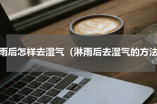 淋雨后怎样去湿气（淋雨后去湿气的方法）