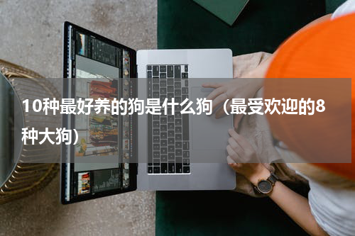 10种最好养的狗是什么狗（最受欢迎的8种大狗）