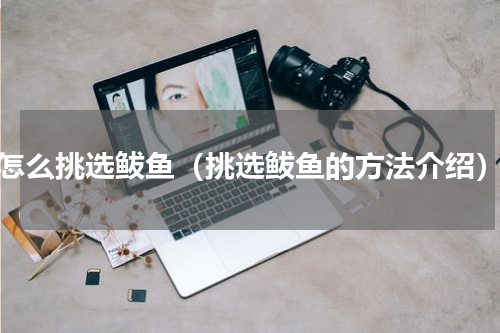 怎么挑选鲅鱼（挑选鲅鱼的方法介绍）
