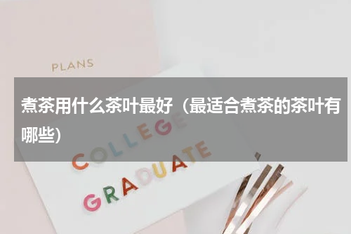 煮茶用什么茶叶最好（最适合煮茶的茶叶有哪些）