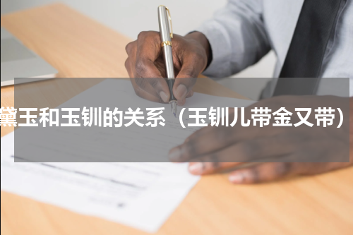 黛玉和玉钏的关系（玉钏儿带金又带）
