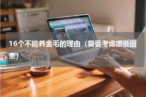 16个不能养金毛的理由（需要考虑哪些因素）