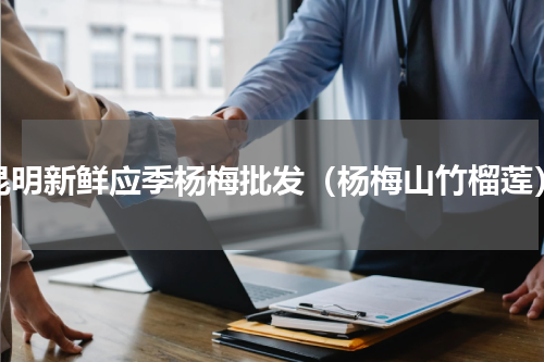 昆明新鲜应季杨梅批发（杨梅山竹榴莲）