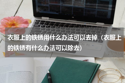 衣服上的铁锈用什么办法可以去掉（衣服上的铁锈有什么办法可以除去）