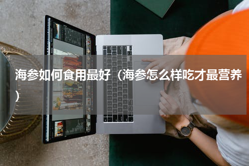 海参如何食用最好（海参怎么样吃才最营养）