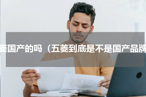 五菱国产的吗（五菱到底是不是国产品牌）