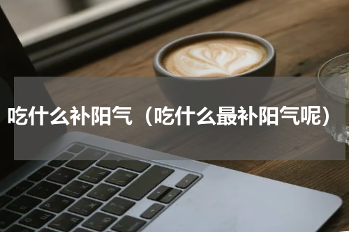 吃什么补阳气（吃什么最补阳气呢）