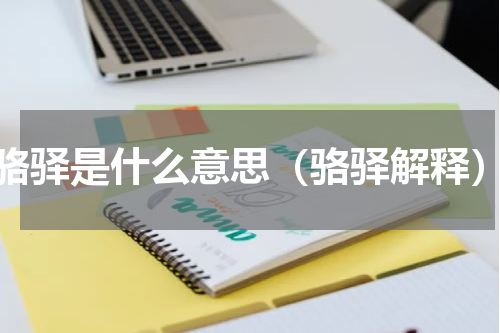 骆驿是什么意思（骆驿解释）