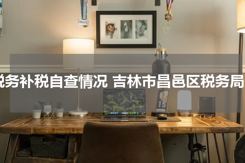税务补税自查情况 吉林市昌邑区税务局