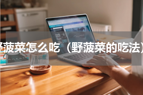 野菠菜怎么吃（野菠菜的吃法）