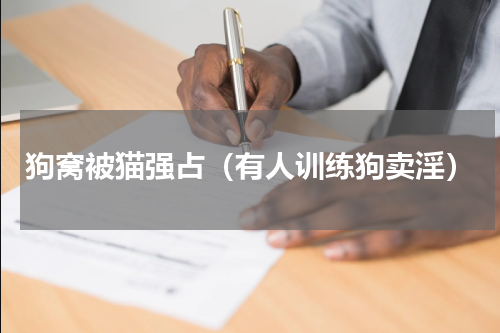 狗窝被猫强占（有人训练狗卖淫）