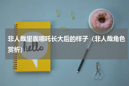 非人哉里面哪吒长大后的样子（非人哉角色赏析）