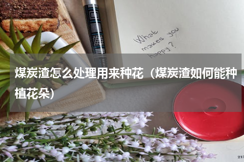 煤炭渣怎么处理用来种花（煤炭渣如何能种植花朵）