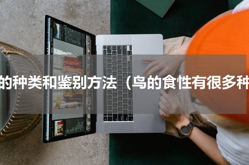 鸟的种类和鉴别方法（鸟的食性有很多种）
