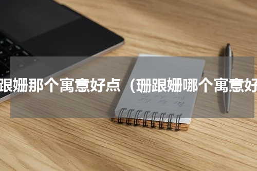 珊跟姗那个寓意好点（珊跟姗哪个寓意好）