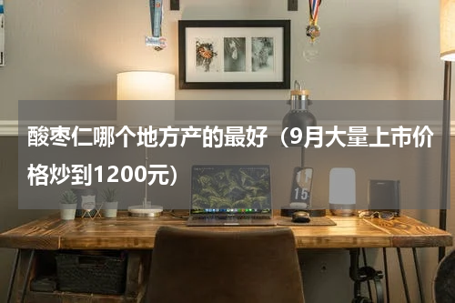 酸枣仁哪个地方产的最好（9月大量上市价格炒到1200元）