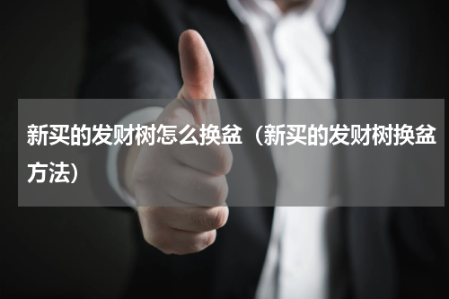 新买的发财树怎么换盆（新买的发财树换盆方法）