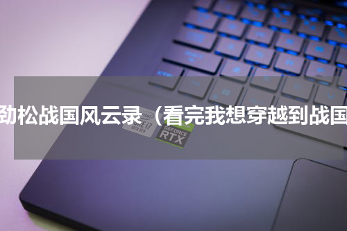王劲松战国风云录（看完我想穿越到战国）