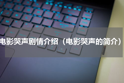 电影哭声剧情介绍（电影哭声的简介）
