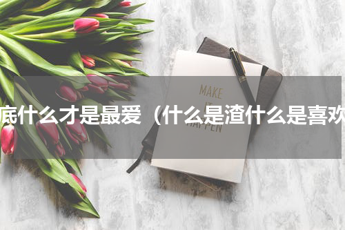 到底什么才是最爱（什么是渣什么是喜欢）