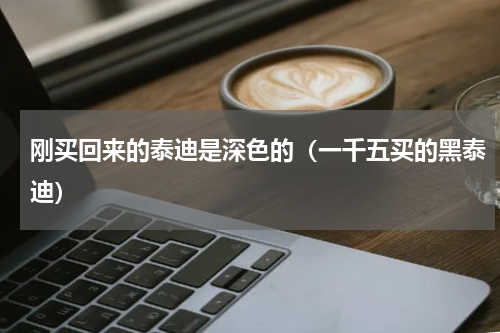 刚买回来的泰迪是深色的（一千五买的黑泰迪）