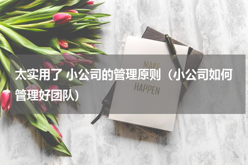 太实用了 小公司的管理原则（小公司如何管理好团队）