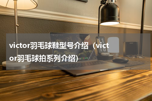 victor羽毛球鞋型号介绍（victor羽毛球拍系列介绍）