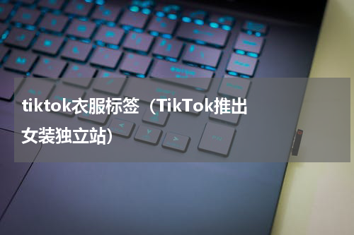 tiktok衣服标签（TikTok推出女装独立站）