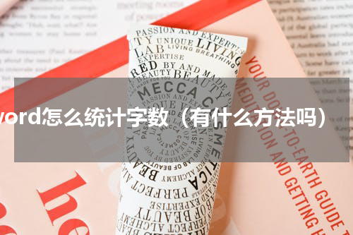 word怎么统计字数（有什么方法吗）