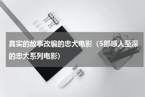 真实的故事改编的忠犬电影（5部感人至深的忠犬系列电影）