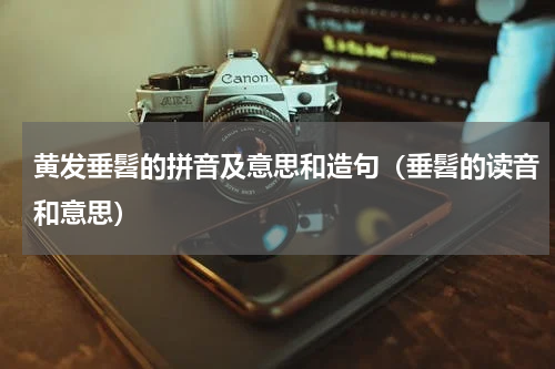 黄发垂髫的拼音及意思和造句（垂髫的读音和意思）