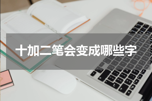 十加二笔会变成哪些字