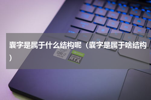 囊字是属于什么结构呢（囊字是属于啥结构）