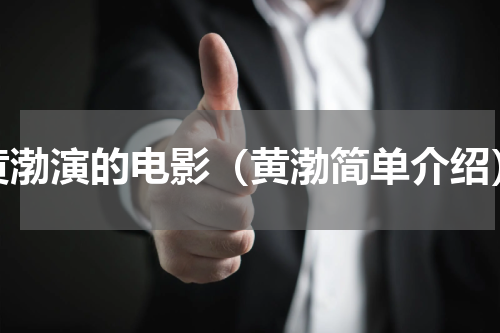 黄渤演的电影（黄渤简单介绍）