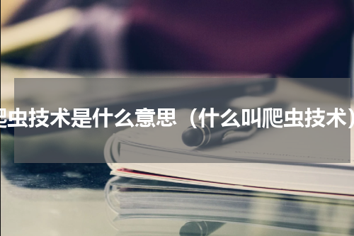 爬虫技术是什么意思（什么叫爬虫技术）