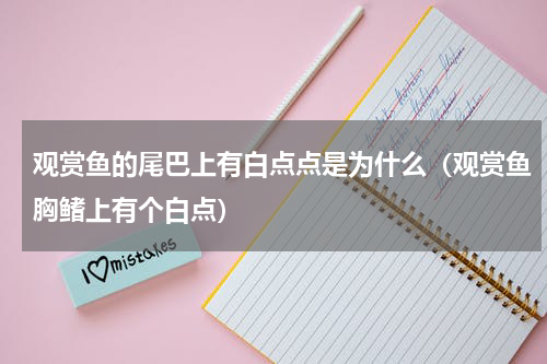 观赏鱼的尾巴上有白点点是为什么（观赏鱼胸鳍上有个白点）