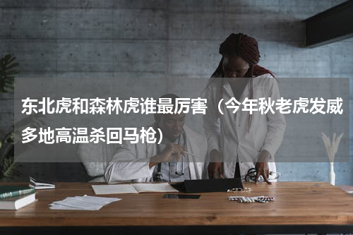 东北虎和森林虎谁最厉害（今年秋老虎发威多地高温杀回马枪）