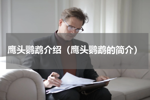 鹰头鹦鹉介绍（鹰头鹦鹉的简介）