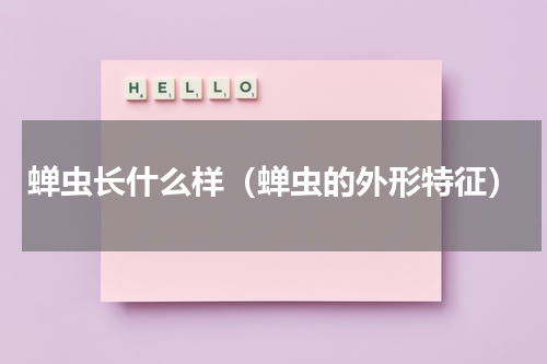 蝉虫长什么样（蝉虫的外形特征）